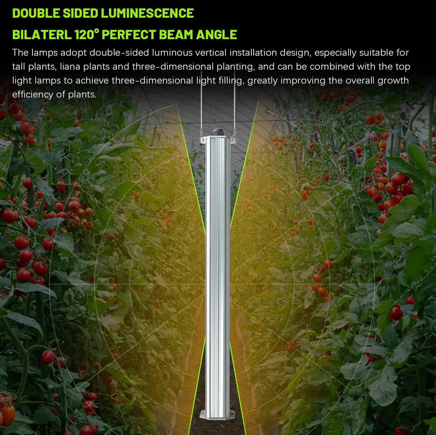 List Of Agriculture Farming - Beste ETL-gecertificeerde planten groene wand landbouw