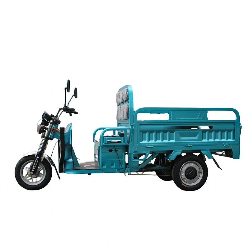 Farming Agriculture Project - - Huishoudelijke elektrische driewielige vrachtwagen Express