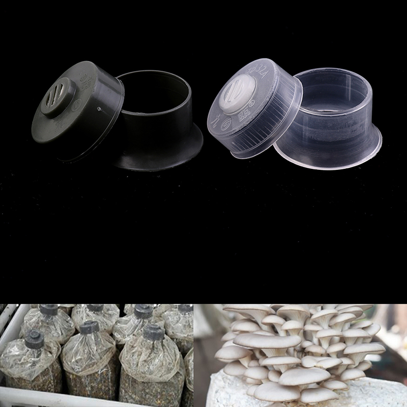 20 stuks paddenstoel spawn gro - Mushroom Spawn Bag recensie en prijs