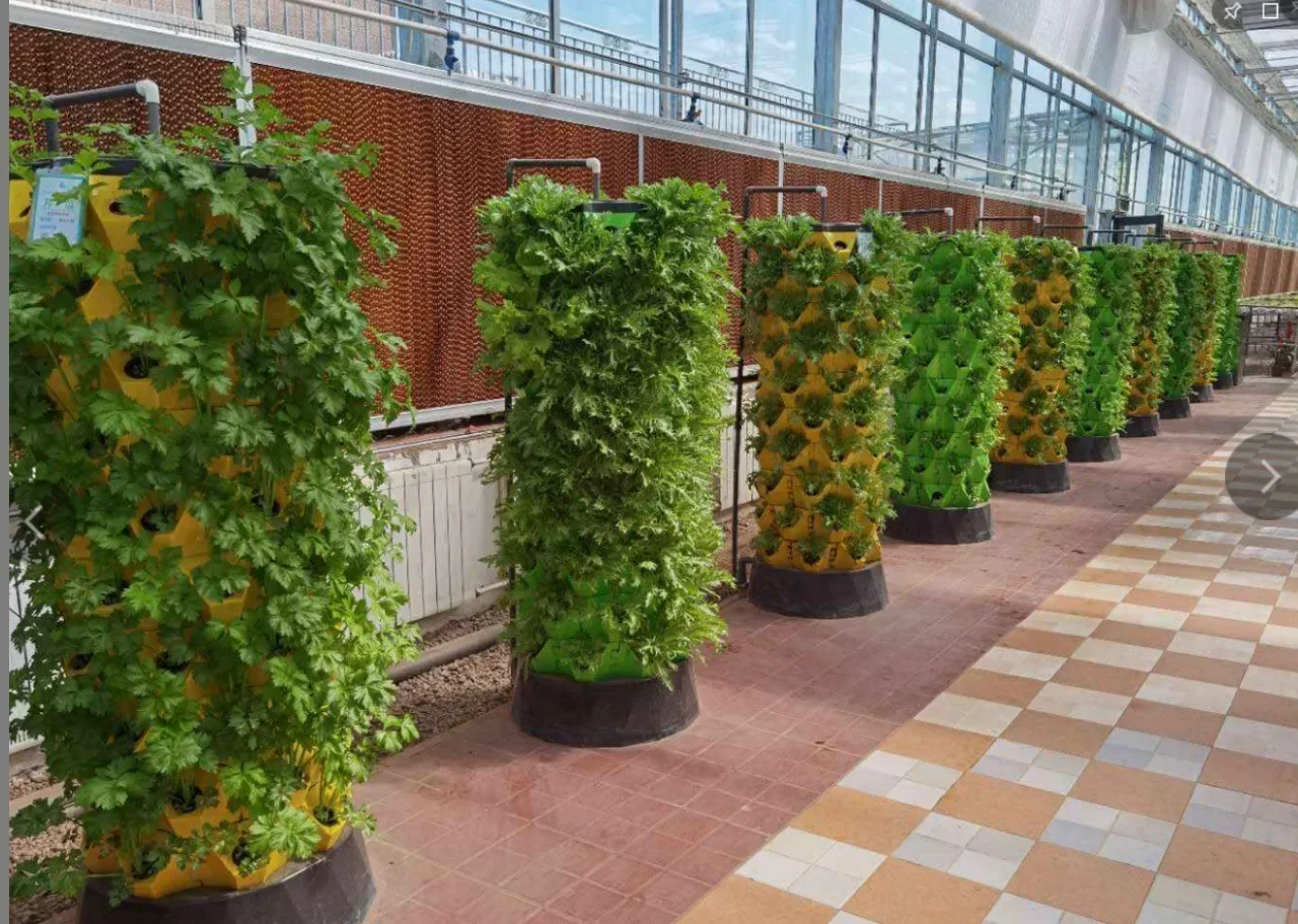 Landbouwkassen verticaal landb - Hydroponic Farming Agriculture recensie en prijs