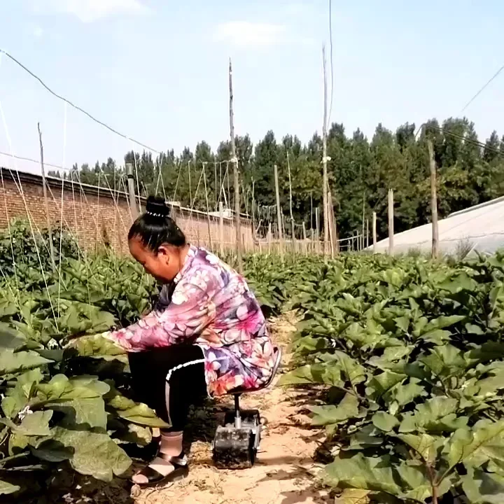 360 graden draaibare kaswerkba - Agriculture Farming Degree recensie en prijs