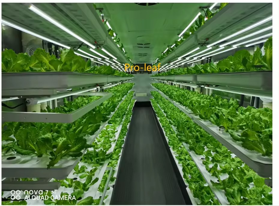 f Kas Landbouwuitrusting Groei - Hydroponic Farming Agriculture recensie en prijs