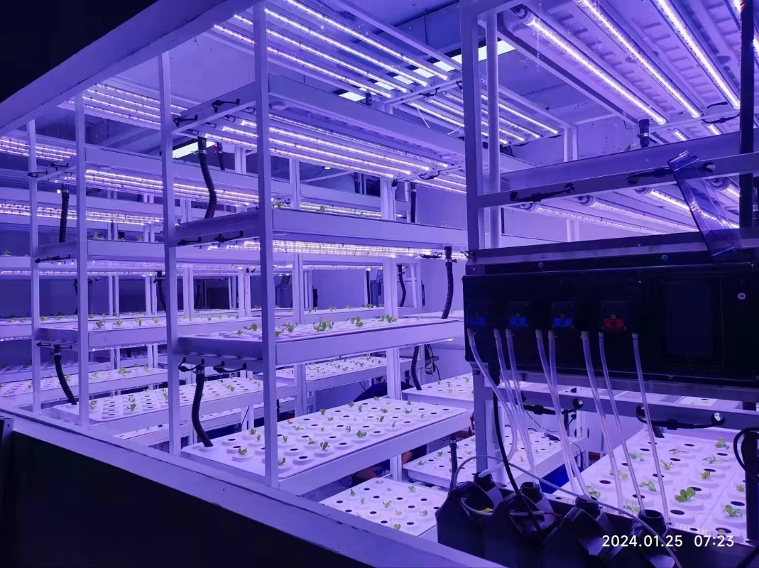 Klein verticaal hydroponisch t - Hydroponic Farming Agriculture recensie en prijs