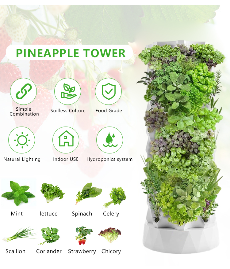 Geüpgradede Indoor Farming Out - Hydroponic Farming Agriculture recensie en prijs