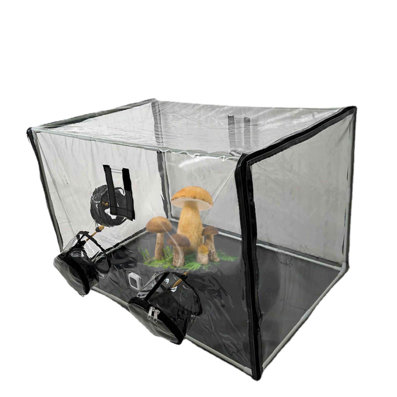 Mini-kas voor de tuin, eenvoud - Mushroom Spawn Bag recensie en prijs