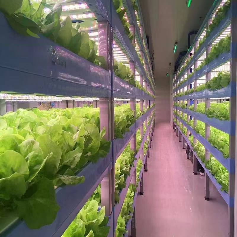 Klantspecifieke landbouwkassen - Hydroponic Farming Agriculture recensie en prijs