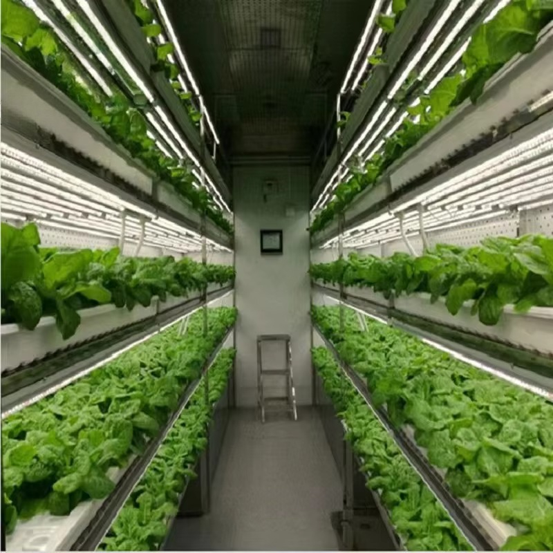 Klantspecifieke landbouwkassen - Hydroponic Farming Agriculture recensie en prijs