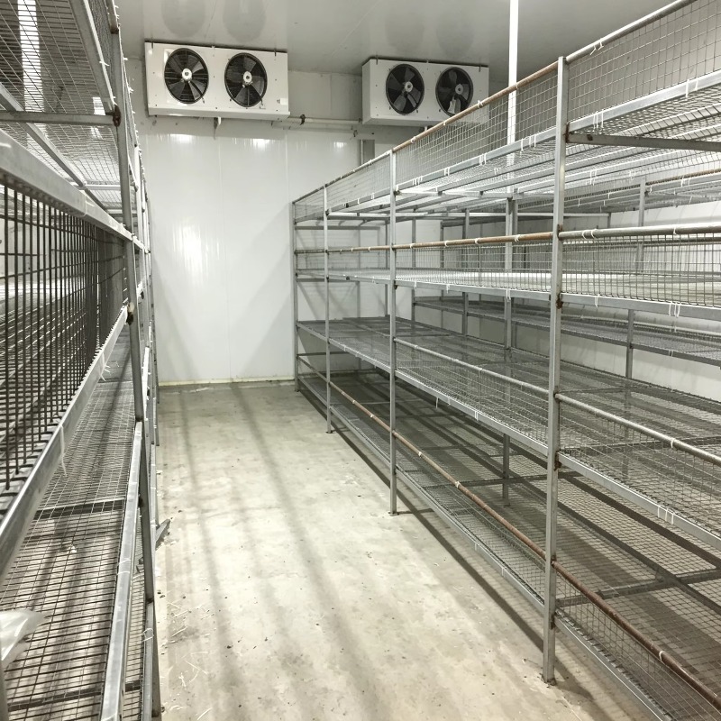 Hydroponische containerfarm me - Farming Agriculture Project recensie en prijs