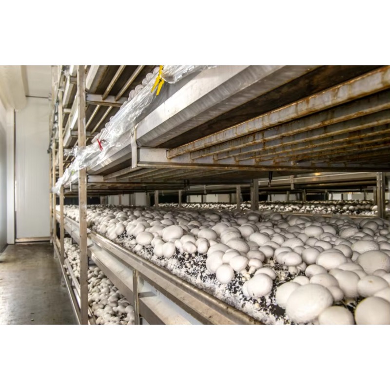 Hydroponische containerfarm me - Farming Agriculture Project recensie en prijs