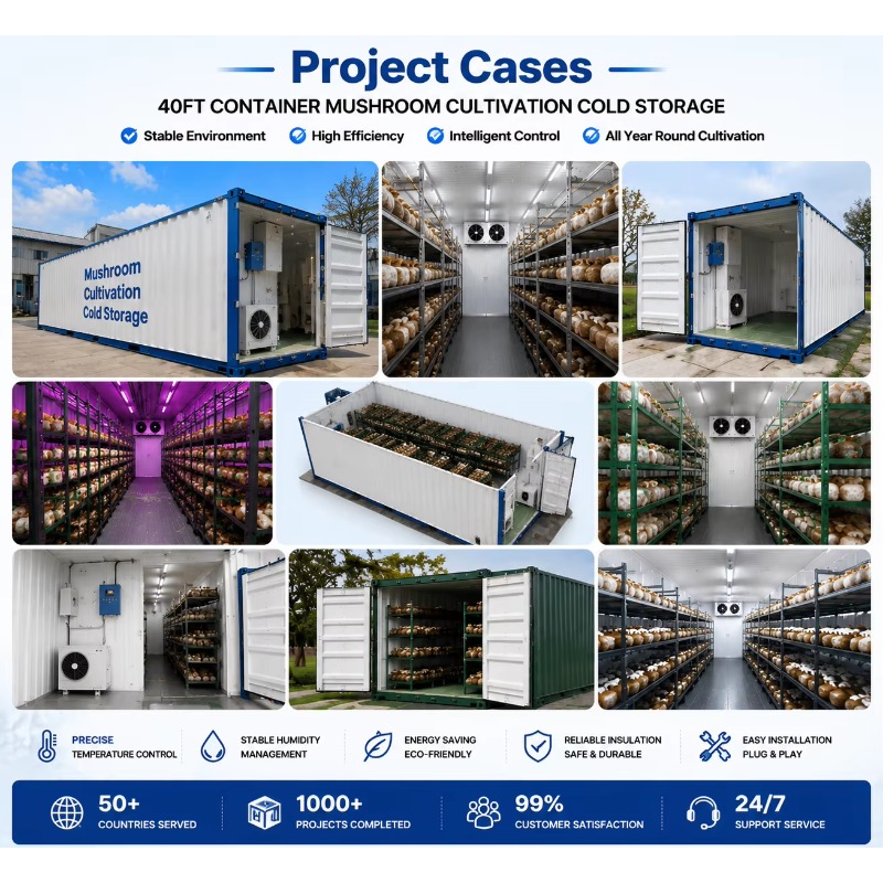 Hydroponische containerfarm me - Farming Agriculture Project recensie en prijs