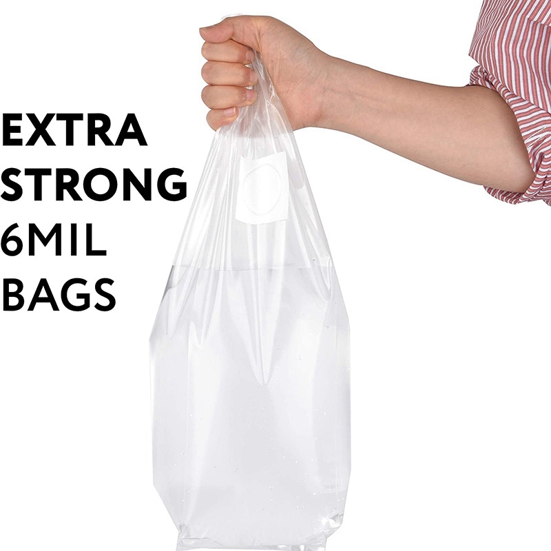 100 Stuks Paddestoel Kweekzak  - Mushroom Spawn Bag recensie en prijs
