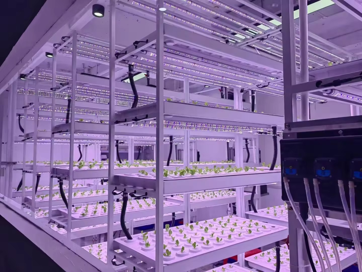 Verticale boerderij hydrocultu - Hydroponic Farming Agriculture recensie en prijs