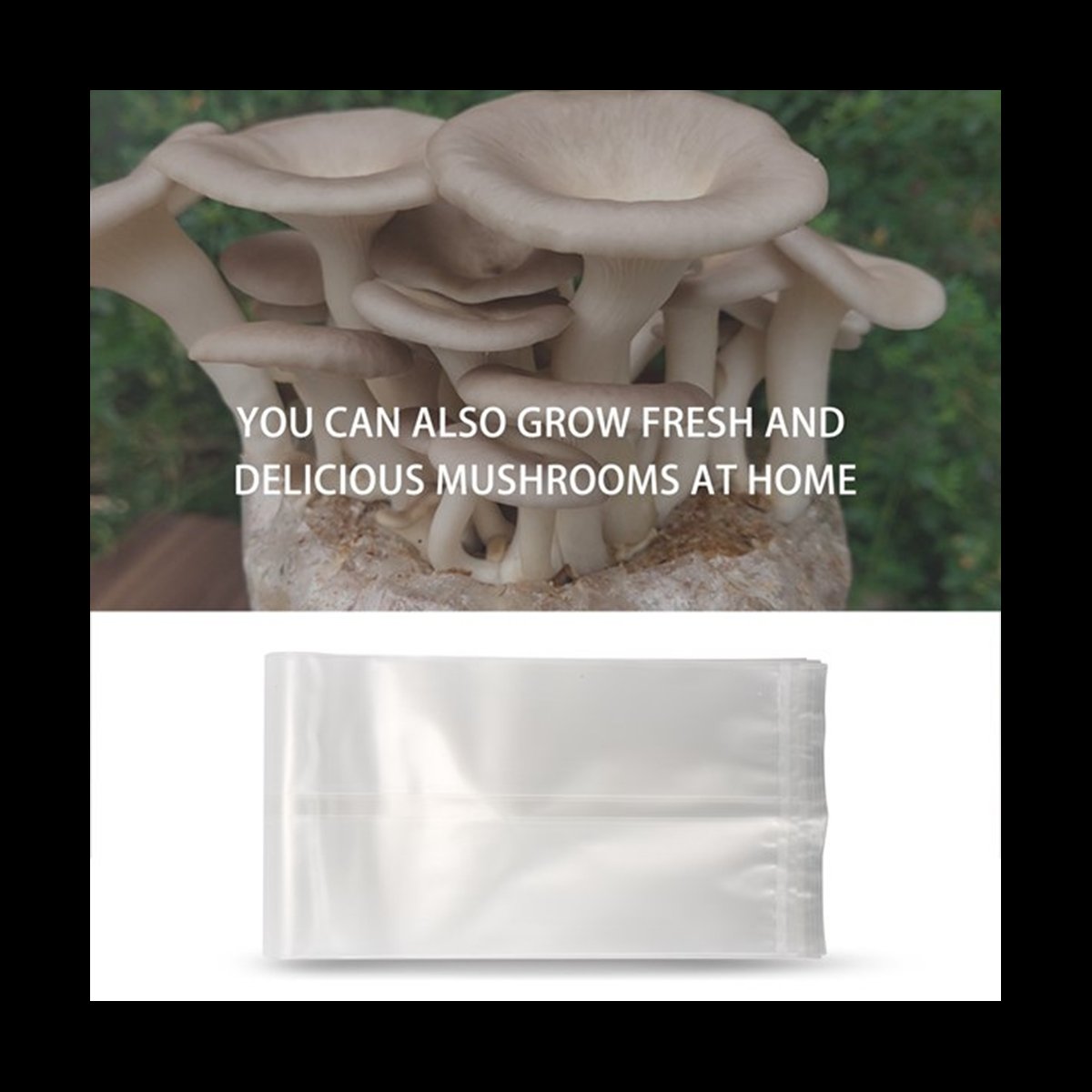 A78I 50 stuks paddestoelzakken - Mushroom Spawn Bag recensie en prijs